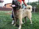 SAM_0652