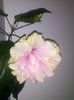 Picture 028