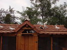 DSC02999