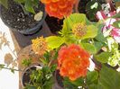 20140907_151824