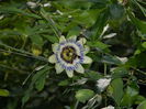 DSCN7866