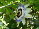 DSCN7956