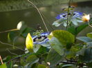 DSCN7957