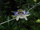 DSCN8500