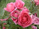 IMG_20140603_122131
