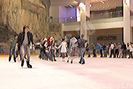 inna-patinoar_3
