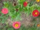20140907_160945