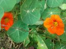 20140907_161030