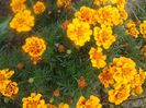 20140907_161420