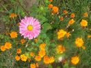 20140907_161430