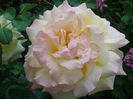20140907_143858