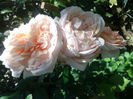20140830_113559