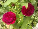 2014-07-15 08.53.07