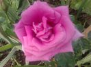2014-07-15 08.52.32