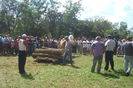 Poze 880