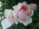 20140827_165646