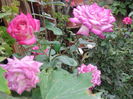 20140907_144442