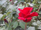 20140907_143736