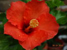 DSC07565
