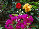 DSC07592