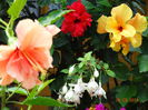 DSC07590