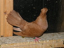 DSCF0275
