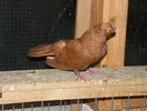 DSCF0277