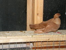 DSCF0284