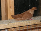 DSCF0285