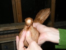DSCF0296