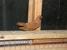 DSCF0299