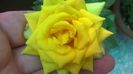 WP_20140907_09_42_38_Pro