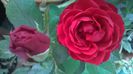 WP_20140907_09_42_46_Pro