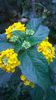 WP_20140907_09_54_11_Pro