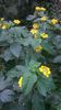 WP_20140907_09_54_24_Pro