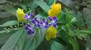 WP_20140907_09_55_21_Pro