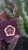 WP_20140907_09_57_46_Pro