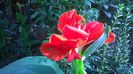 WP_20140908_09_09_42_Pro