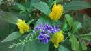 WP_20140908_09_10_05_Pro