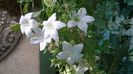 WP_20140908_09_10_43_Pro