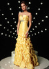 amazing dresses for your 2010 Prom