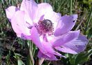 20140519_094548