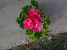 IMG_20140906_160552