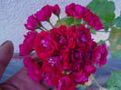 IMG_20140906_160808