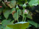 DSCN8369