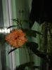 DSCN8371