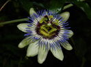 DSCN8465