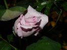 DSCN8470
