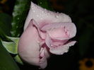 DSCN8472
