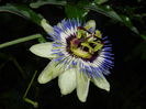 DSCN8477